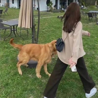 是谁搞的鬼