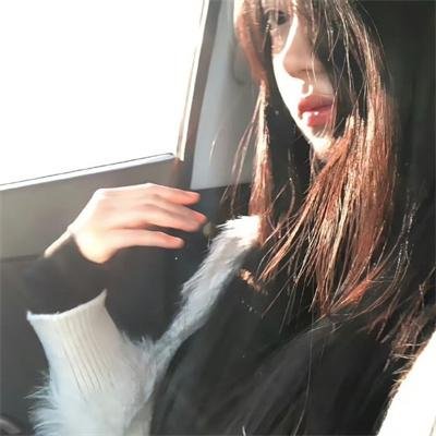 摄影师贝尔蒂与海豚零距离